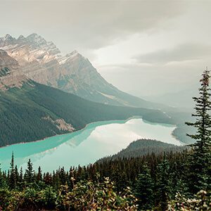 Postcards From Hawaii Gabriella Wisdom Travel Lifestyle Blog Gabriella Wisdom Jasper Banff Canada Peyto Lake