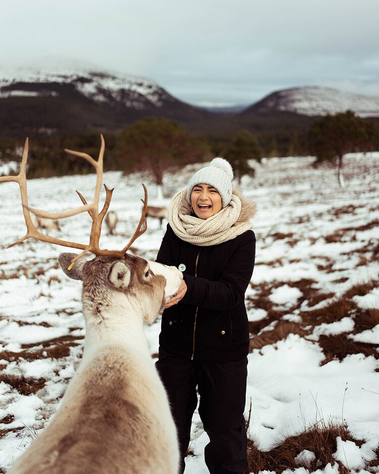 PFHPostcardsfromHawaiiScotlandCairngormNationalParkReindeer